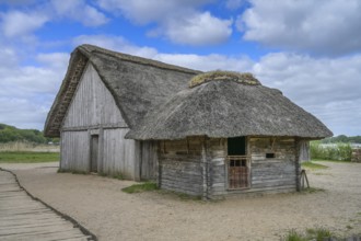 Thatched historic house, village, Viking Museum Haithabu, Schleswig, Schleswig-Holstein, Germany,