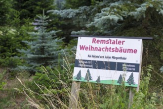 Sign for the sale of Christmas trees from the Rems Valley, Winterbach, Baden-Württemberg, Germany,