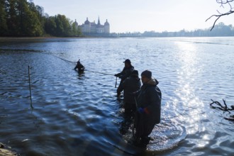 Fishing of the castle pond in Moritzburg