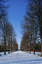 Pillnitz Palace Park in winter, Maille railway