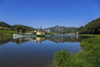 Elbe steamer Pillnitz in Rathen