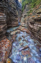 Taugl, Tauglbach flows through gorge, Tauglbachklamm, autumn, Tennengau, Bad Vigaun, Salzburger