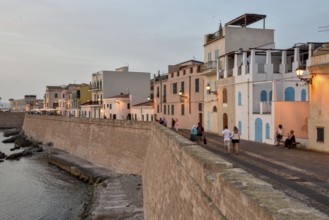 Row of houses above city wall, evening light, Alghero, Sassari Province, Sardinia, Italy, Europe