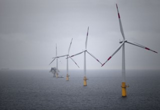 Offshore wind farm Baltic 1, wind turbine, windmill, windmills, wind turbines,