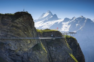 Schreckhorn, 4078 m, First cliff path, Switzerland, Europe