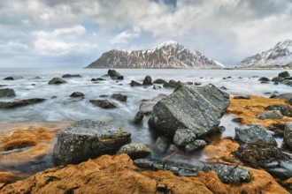 Rocky coast of fjord of Norwegian sea in winter with snow. Skagsanden beach, Lofoten islands,