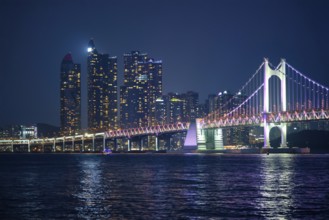 Gwangan Bridge and skyscrapers illuminated in the night. Busan, South Korea, Asia