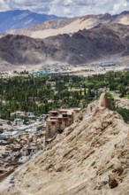 View of Leh town with Leh Palace from above. Ladakh, Jammu and Kashmir, India, Asia