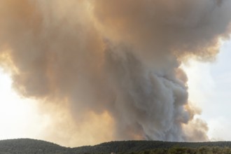 Forest fire wreaks havoc on causse de sauveterre. Montuejols, Aveyron, Cevennes, France, Europe