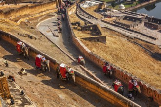 AMER, INDIA, NOVEMBER 18, 2012: Tourists riding elephants on ascend to Amer (Amber) fort,