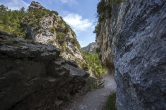 Hiking trail in the gorge of Trevans, Gorges de Trévans, near Estoublon, Alpes-de-Haute-Provence,