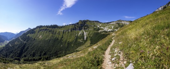 Mountain landscape, hiking trail from the Genneralm to the Gruberhorn, Osterhorngruppe,