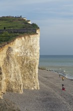 Birling Gap, part of The Seven Sisters chalk cliffs, South Downs, England, United Kingdom, Europe