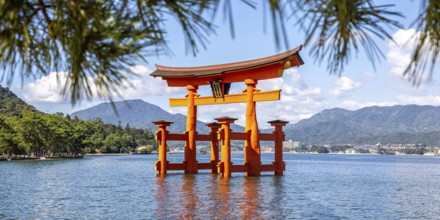 Famous red wooden torii gate UNESCO World Heritage Site Panorama on Miyajima Island, Japan, Asia