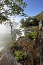 Iguazú Falls or Cataratas del Iguazú, Misiones Province, Argentina, South America