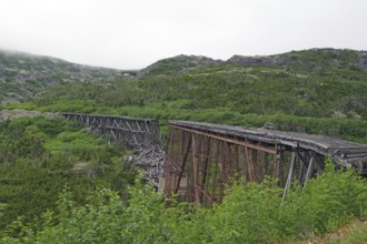 Remains of an old wooden railway bridge, wilderness, mountain landscape, White Pass Railway,