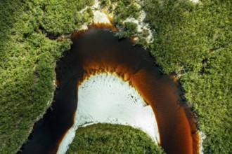 Black river and white sand beach before the granite hills, Cerros de Mavecure, Eastern Colombia