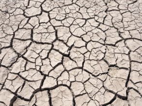 Field dried up and torn open due to drought, soil, cracks