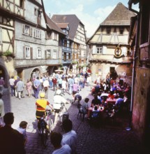 A bicycle tour through the Alsace, here on 11.05.1994 near Kayserberg, on a vineyard route is not