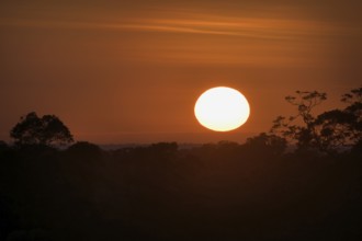 Sunrise over Adolpho Ducke Forest Reserve, Manaus, Amazonia State, Brazil, South America