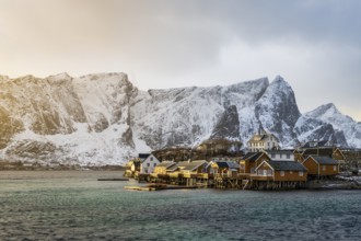 Traditional yellow rorbuer cabins on Sakrisøy Island, snow-capped rocky mountains in the back,