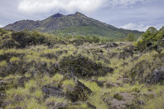 Lava field and caldera on Mount Batur, Gunung Batur, active volcano in the Bangli Regency, Bali,