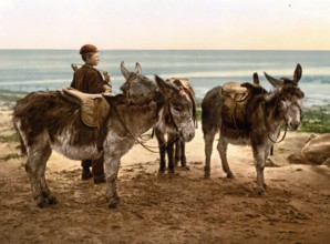 Day labourer waiting for work with his donkey, England, around 1890, Historic, digitally restored