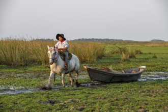 Young gaucho pulling a boat with reeds, traditional means of transport, Puesto Mingo, Esteros del