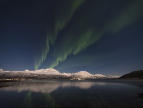 Northern Lights (Aurora borealis) over the Lyngen Alps, Skibotn, Troms og Finnmark, Norway, Europe