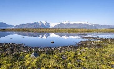 Reflection in a lake, view of glacier tongues Skaftafellsjökull and Svínafellskökull, glaciated