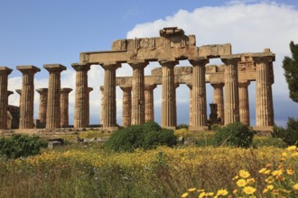 Selinunte, Temple E in the archaeological site of Selinunte, Trapani Province, Sicily, Italy,