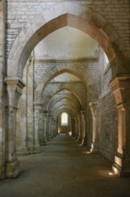 Nave of the Cistercian Abbey of Fontenay, Unesco World Heritage Site, Cote d'Or, Burgundy, France,