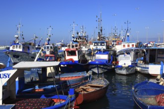 City of Trapani, boats in fishing harbour, Sicily, Italy, Europe