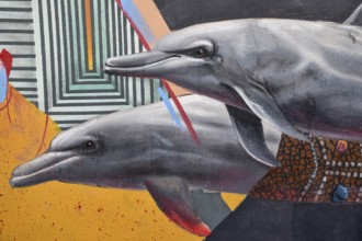 Graffito on a house wall, dolphins, Cartagena, Murcia region, Spain, Europe