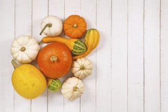 Different seasonal pumpkins and squashes on side of white wooden background with copy space