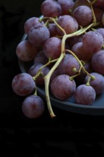 Red grape vine (Vitis vinifera) on plate against dark background