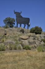 Osborne bull, Toro de Osborne, bei Trujillo, Provinz Cáceres, Extremadura, Spain, Europe