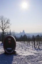 View of Meissen from the Proschwitz Winery