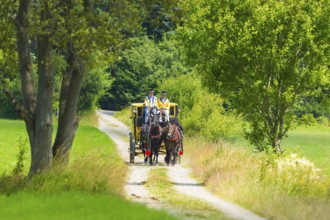 8th stagecoach meeting in Grillenburg