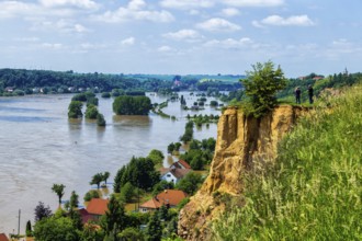 Flood in carp tavern near Meissen