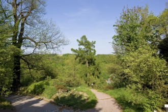 Tharandt Forest Botanical Garden of the TU Dresden