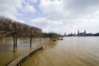 Spring flooding of the Elbe in Dresden