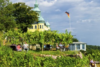 Open Winery Day in Saxony