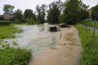 Village stream in Reinhalodshain