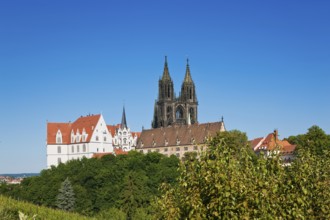 Meissen castle hill with cathedral