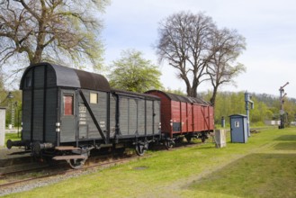 Goods wagon on the siding, railway museum, Vienenburg, Goslar, Harz, Lower Saxony, Germany, Europe