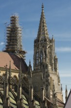 Ulm Cathedral, south tower, southern choir tower, scaffolding on northern choir tower at the back