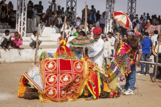 PUSHKAR, INDIA, NOVEMBER 22, 2012: Man decorating his camel for camel decoration contest at Pushkar