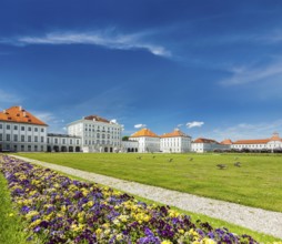 Goose in garden in front of the Nymphenburg Palace. Munich, Bavaria, Germany, Europe