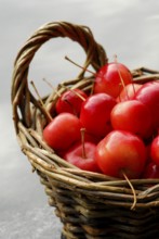 Ornamental apples (Malus), basket